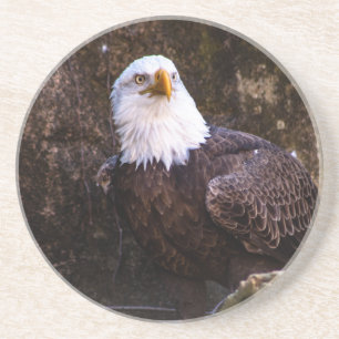 Dessous De Verre En Grès Bald Eagle Coaster