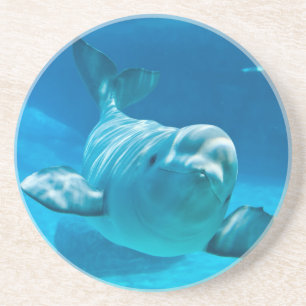 Dessous De Verre En Grès Baleine de beluga