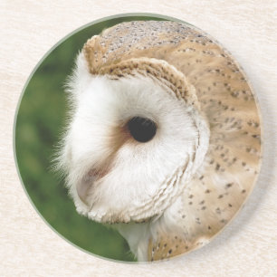 DESSOUS DE VERRE EN GRÈS BARN OWL