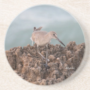 Dessous De Verre En Grès Beach Shorebird Willet avec Arrière - plan de l'oc