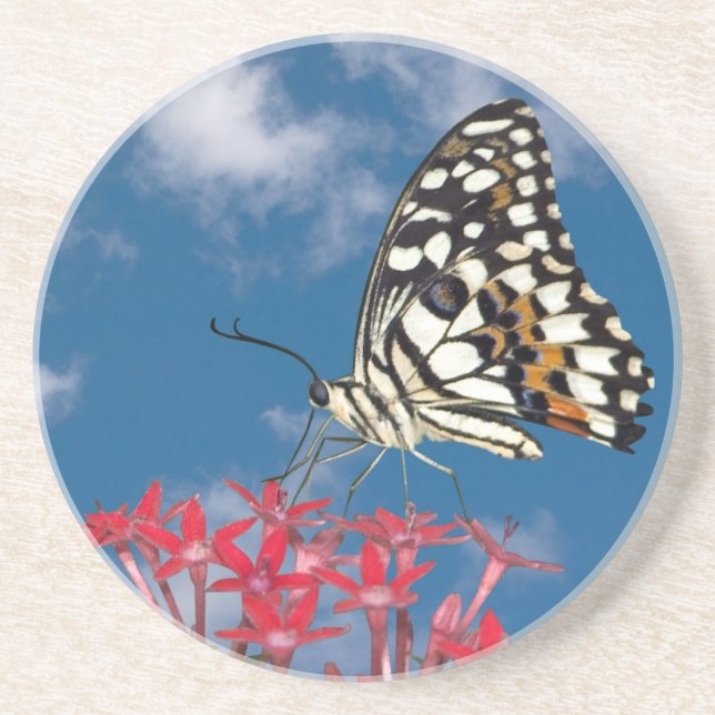 Dessous De Verre En Grès Beau Papillon (Devant)