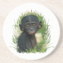 Bébé Bonobo Ape
