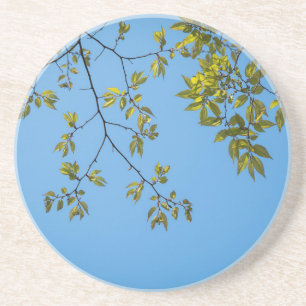 Dessous De Verre En Grès belle branche avec serrure feuille verte et jaune