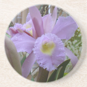 Dessous De Verre En Grès Belle orchidée de lavande