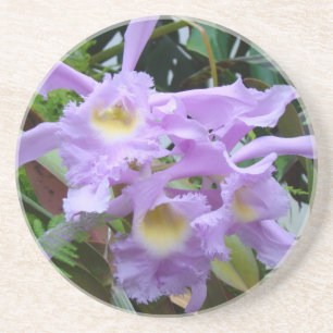 Dessous De Verre En Grès Belles Orchidées de Lavande