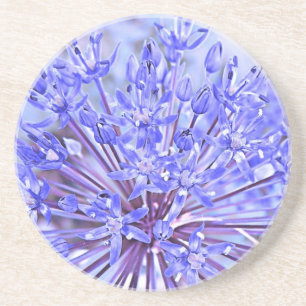 Dessous De Verre En Grès Bleu de fleur d'allium