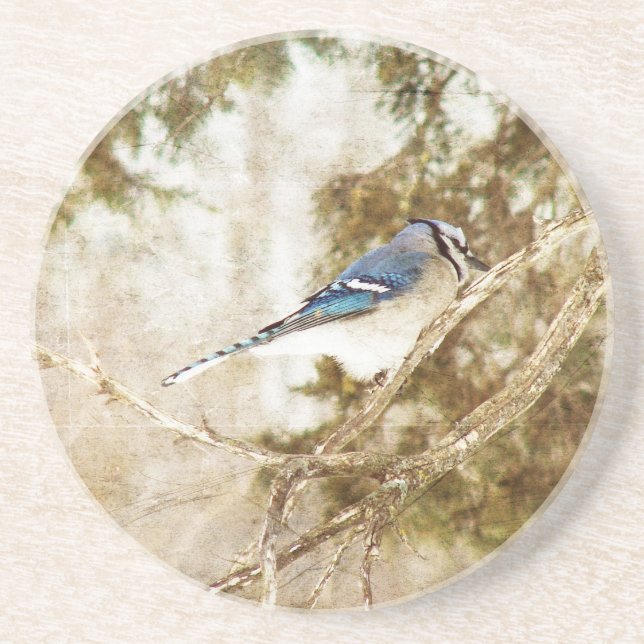 Dessous De Verre En Grès Blue Jay (Devant)