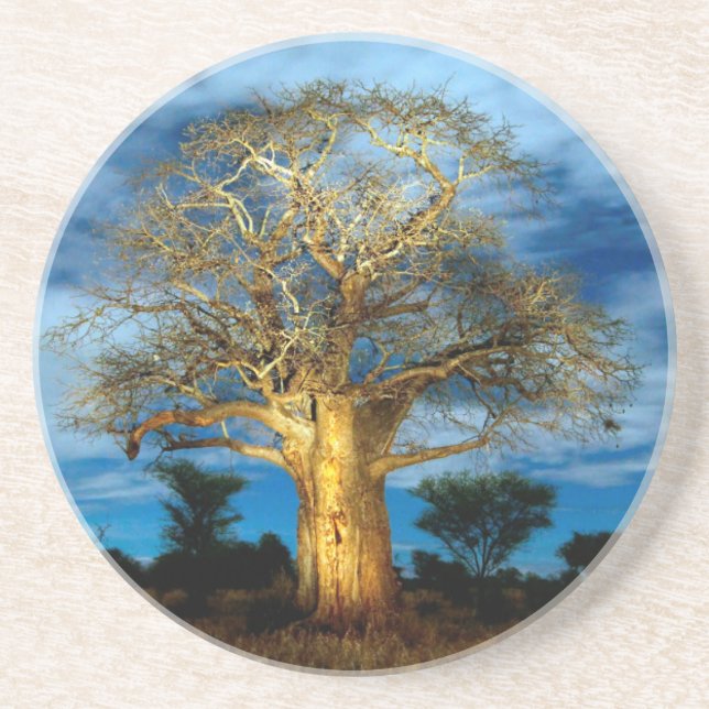 Dessous De Verre En Grès Bobab (Adansonia) Arbre Éclairé Par La Lune (Devant)