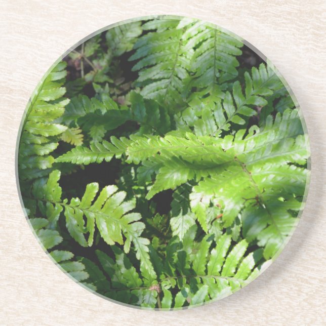 Dessous De Verre En Grès Botanique de fèves vertes de printemps (Devant)