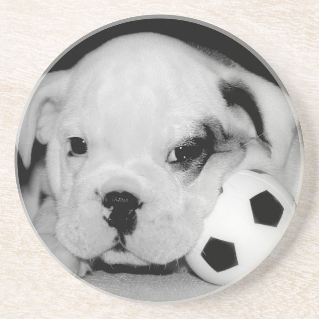 Dessous De Verre En Grès Bouledogue anglais "de chiot du football" (Devant)