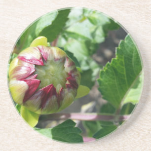 Dessous De Verre En Grès bourgeon d'automne