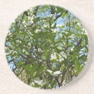 Dessous De Verre En Grès Branche of Dogwood Blossoms Spring Trees