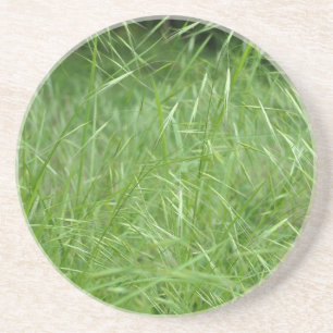Dessous De Verre En Grès Bromus tectorum