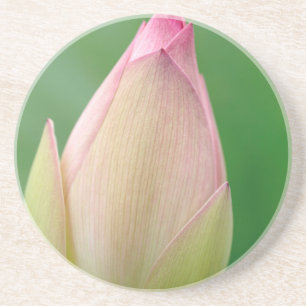 Dessous De Verre En Grès Bulbe de nénuphar non ouvert, Jardin botanique de 