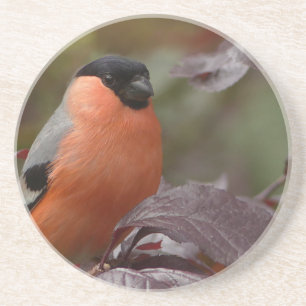 Dessous De Verre En Grès Bull Finch