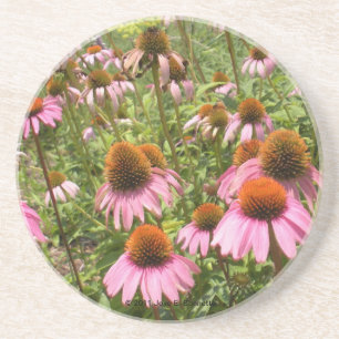 Dessous De Verre En Grès Caboteur de Coneflowers