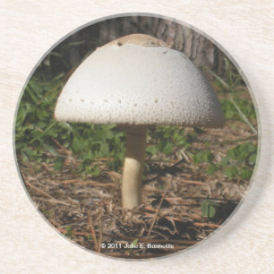 Dessous De Verre En Grès Caboteur de Shroom 0659