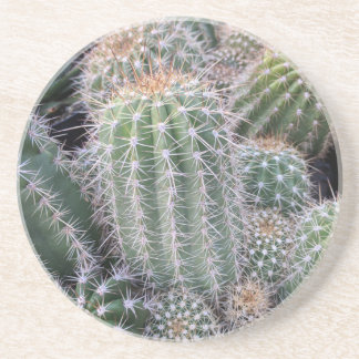 Dessous De Verre En Grès Cactus