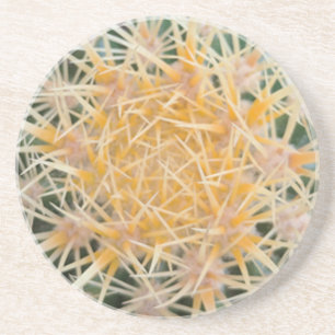 Dessous De Verre En Grès Cactus