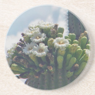 Dessous De Verre En Grès Cactus du Saguaro