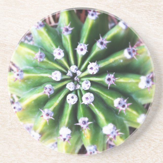 Dessous De Verre En Grès Cactus vert (Devant)