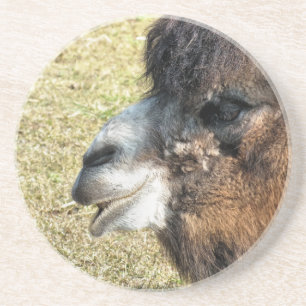 DESSOUS DE VERRE EN GRÈS CAMELS