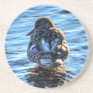 Dessous De Verre En Grès Canard de Mallard dans la rivière Winter - Photo F