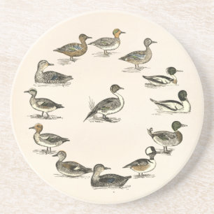 Dessous De Verre En Grès Canards d'Amérique du Nord