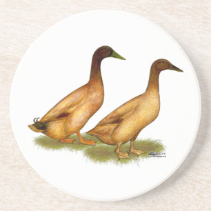 Dessous De Verre En Grès Canards : Khaki Campbell