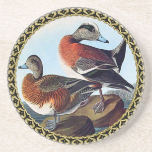 Dessous De Verre En Grès Canards Widgeon américains sur une roche