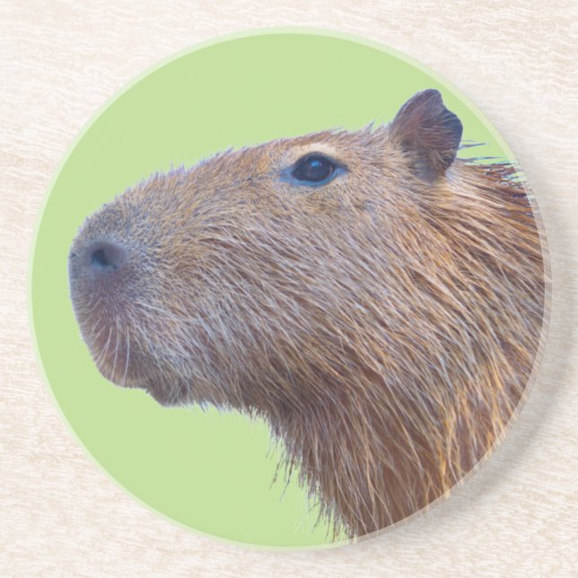 Dessous De Verre En Grès Capybara (Devant)