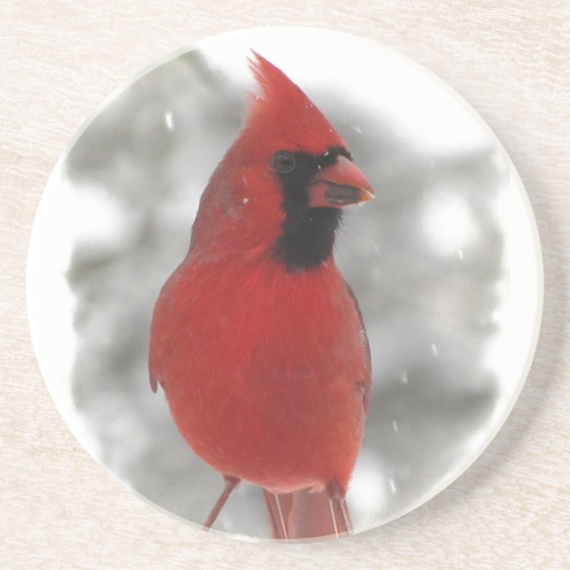 Dessous De Verre En Grès Cardinal (Devant)