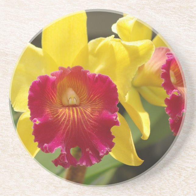 Dessous De Verre En Grès Cattleya jaune (Devant)