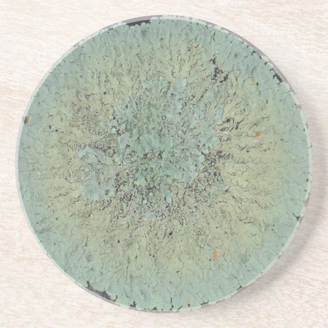 Dessous De Verre En Grès Cercle Lichen Mossy (Devant)