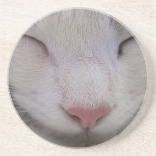 Dessous De Verre En Grès Chat couché