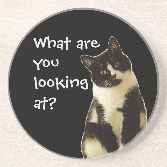 Dessous De Verre En Grès Chat drôle "Qu'est-ce que vous regardez ?" (Devant)