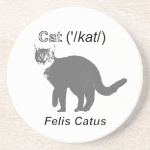 Dessous De Verre En Grès Chat Felis Catus