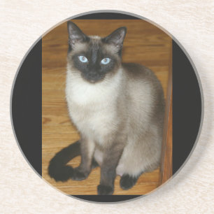 Dessous De Verre En Grès Chat siamois animal de compagnie bureau paix amour