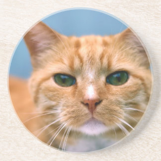 Dessous De Verre En Grès Chat tigré orange de chaton de Kitty