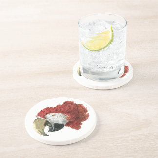 Dessous De Verre En Grès Chef d'une Macaw (1725-1792) Aert Schouman