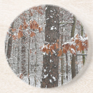 Dessous De Verre En Grès Chênes couverts de neige hiver Photographie de la
