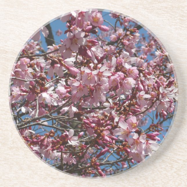 Dessous De Verre En Grès Cherry Blossoms et Blue Sky Spring Floral (Devant)