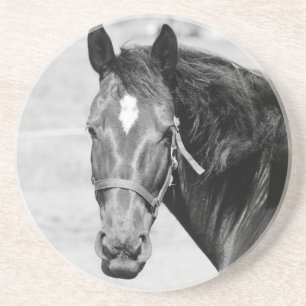 Dessous De Verre En Grès Cheval blanc noir