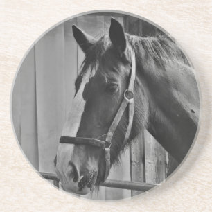 Dessous De Verre En Grès Cheval blanc noir - Art de la photographie animale