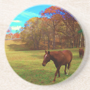 Dessous De Verre En Grès Cheval Brown dans un champ de couleur arc-en-ciel