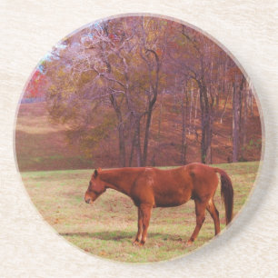 Dessous De Verre En Grès Cheval Brown dans un champ d'herbe