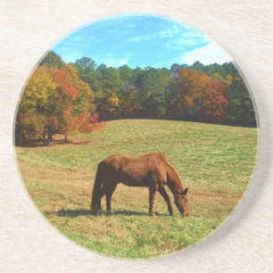 Dessous De Verre En Grès Cheval Brown rouge, ciel bleu Turquoise