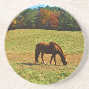 Dessous De Verre En Grès Cheval Brown rouge dans les arbres d'automne