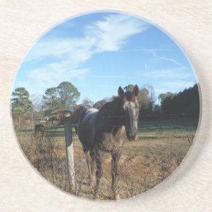 Dessous De Verre En Grès Cheval brun Coco et Crème
