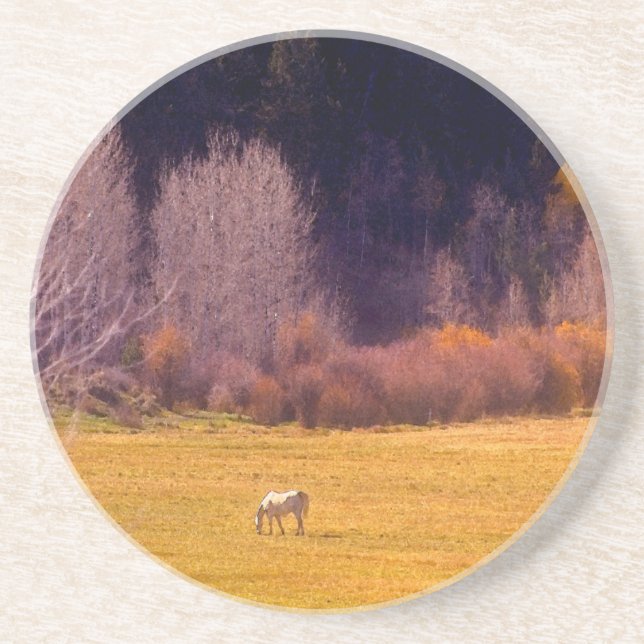 Dessous De Verre En Grès Cheval dans l'automne I (Devant)